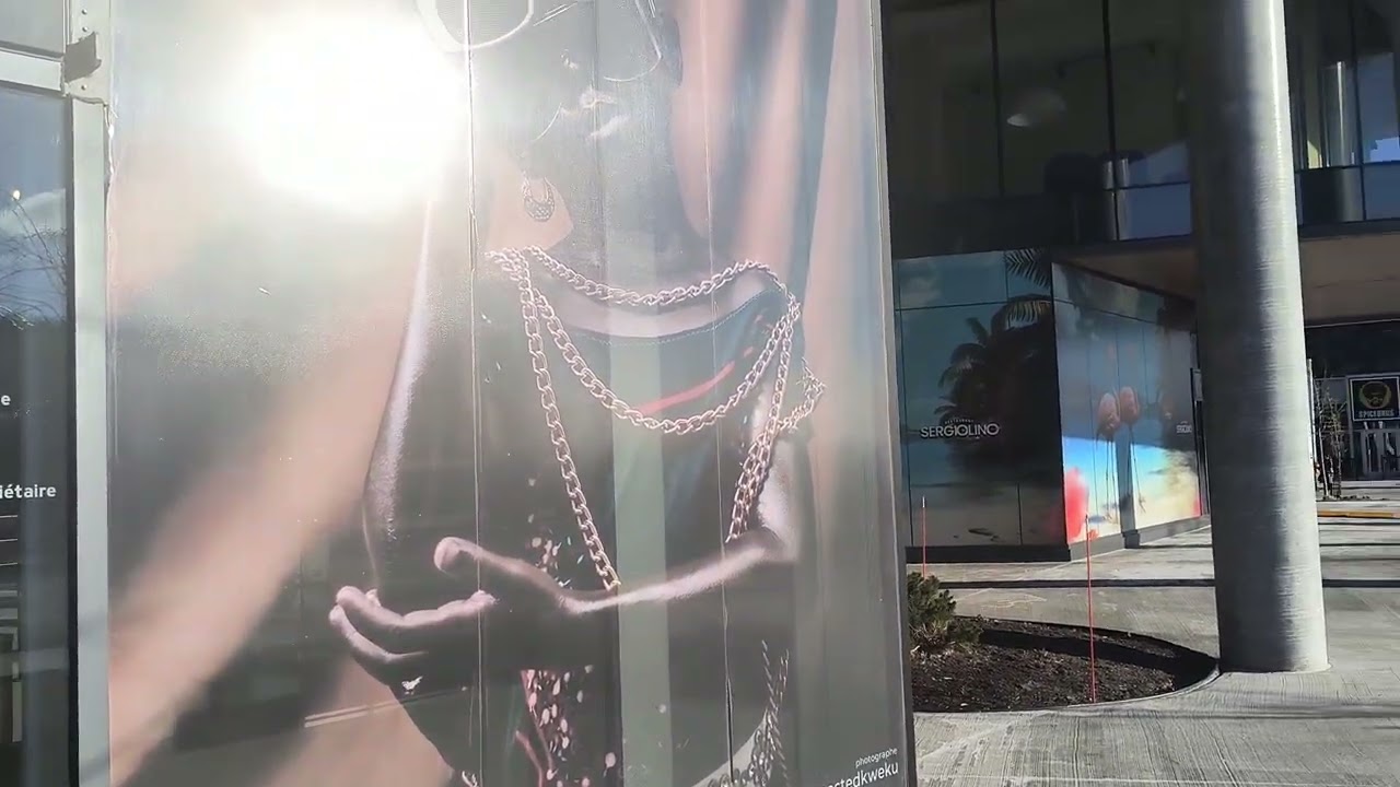 NeveR ending-gay paRades Looney MovembeR NovembeR 29, 2025 Laval MontRéal Quebéc Canada UN