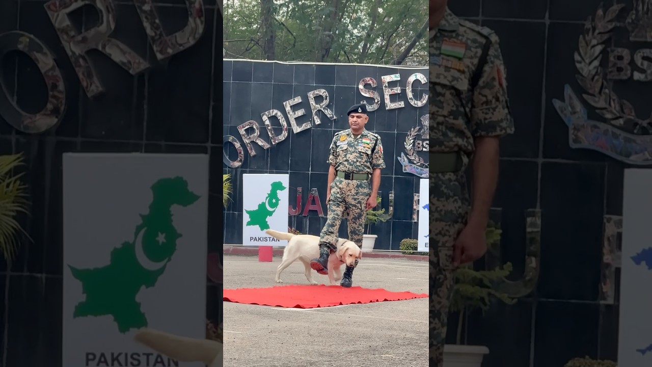 Bsf Jawan 👮🏻‍♂️and bsf Dog 🐶 