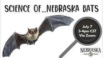 Science of...Bats