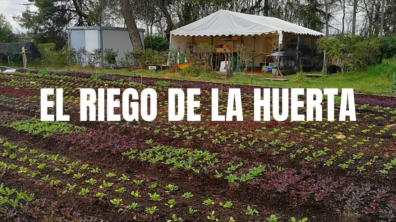 MI Sistema de Riego | Micro aspersión y exudación para el huerto