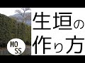 生垣の作り方