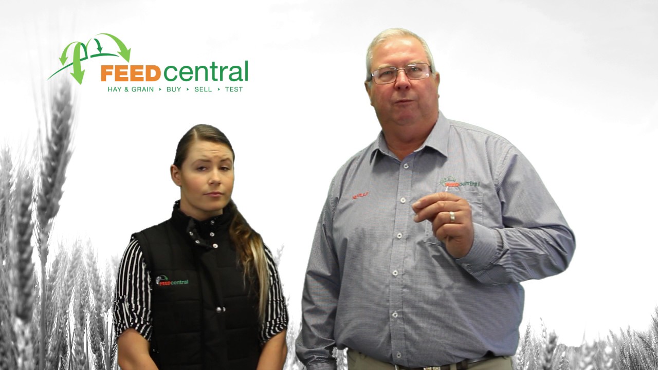 video phone beyonce mp3 May Market Report 2017 (NNSW & QLD)