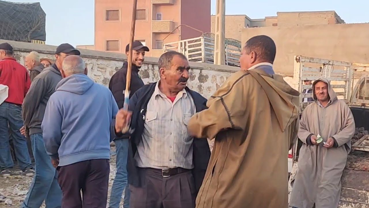 🇲🇦🔥خيرات موجودة في سوق الأسبوعي تلات لولاد نقدم لكم أتمنة نعجة تاريخ تصوير 30/7/2024