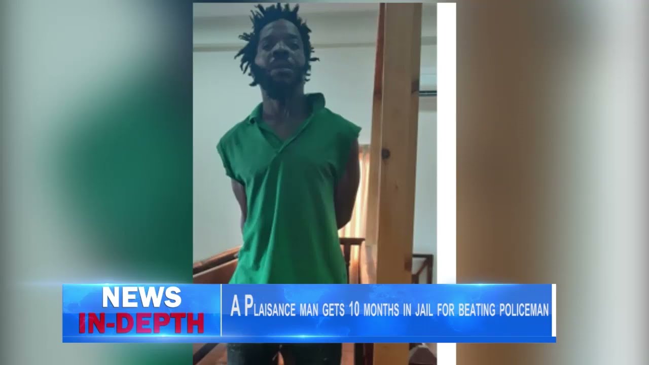 Plaisance man gets 10 months in jail for beating policeman