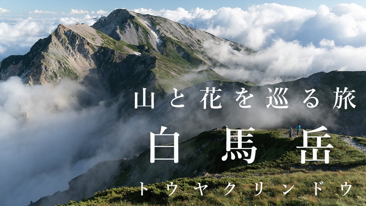 【登山】白馬岳 栂池コース（高山植物咲き誇る北アルプスの百名山に登ってきました）