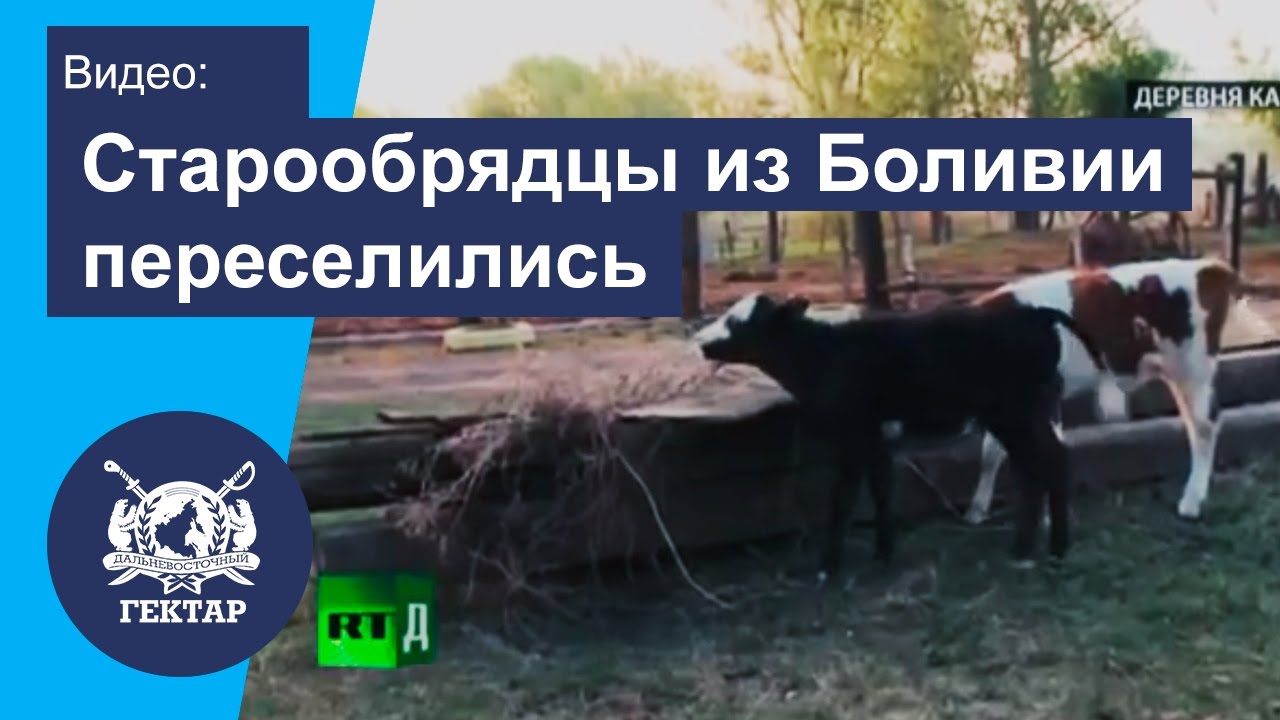 Поморы старообрядцы из Боливии переселились в Россию