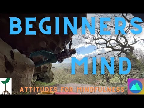 Beginners Mind - Attitudinal foundations for mindfulness