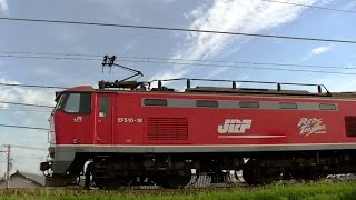たった2両の貨物列車 EF510-18牽引3097レ 広島→新潟