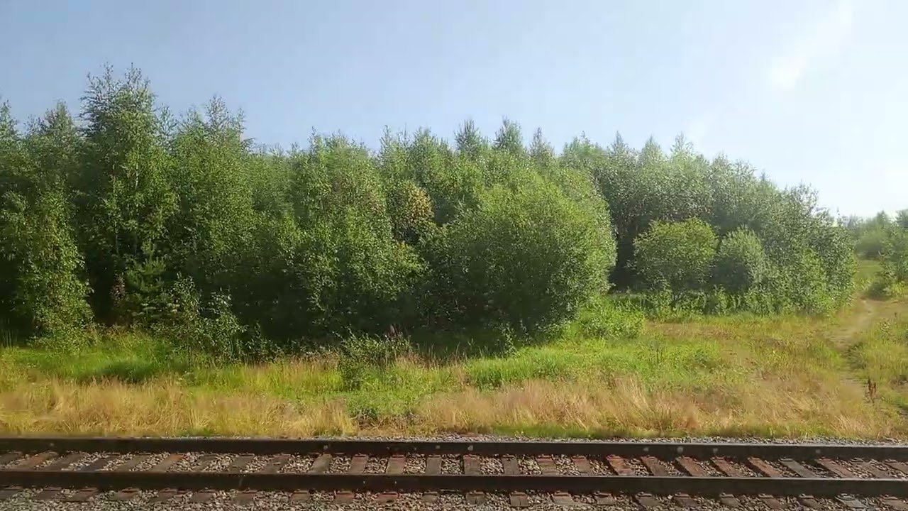 Прибытие на станцию Ломовое | СЕВЖД