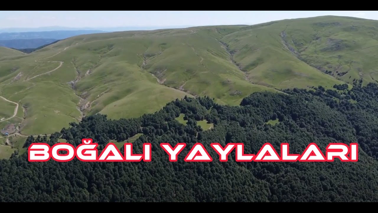 BOĞALI - FIRINLI YAYLASI (BAHAR) // Amasya Sakarat Dağları #keşfet #keşfetbeniöneçıkar #keşfetteyiz