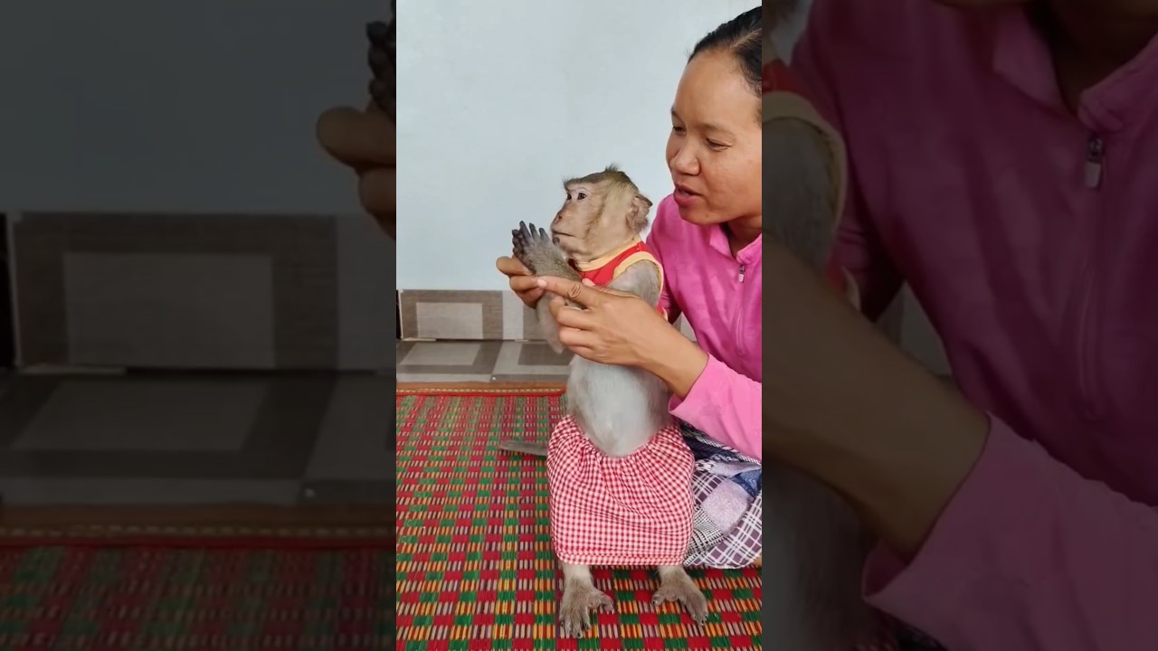 Мама учит Лили 😆 Прости, бабушка 🥰