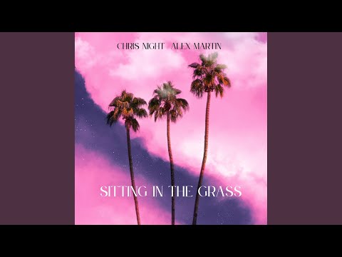 Sitting In The Grass (Instrumental)