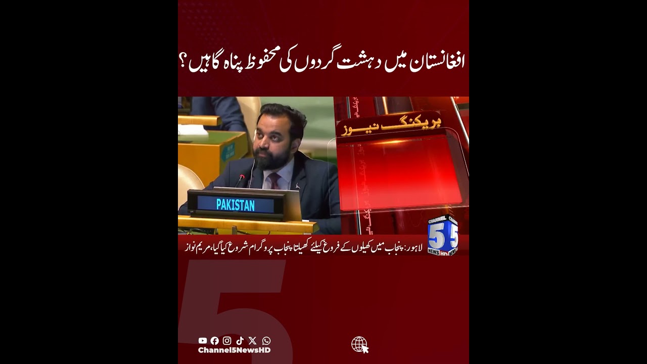 Terrorist Safe Havens in Afghanistan? BREAKING NEWS | 5 NEWS