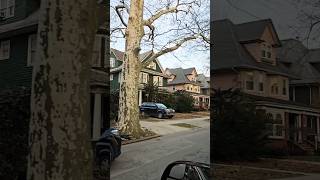 Smooth drive through streets of Midwood Brooklyn NY #music