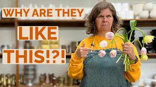 Your Spring Flowers Are Failing Heres Why Tulips, Poppies & More