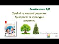 Урок 1 клас. Хвойні та листяні рослини. Дикорослі та культурні рослини