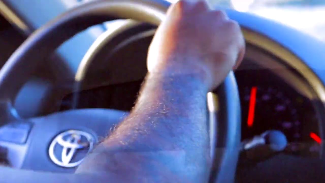 Caleborate feat. Tone Sinatra - "The Madness" (Official Visualizer)