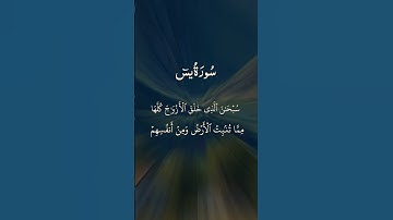 سوره يس #اكسبلور #القزابري #duet #المصحف #دويتو #الرحمن #تيك_توك #المراه #حالات_واتس #اعتني