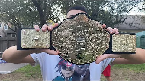 Diego v.s Daniel Houston