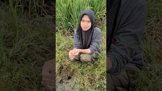 Lubang Belut Cantik Banget Bestie, Moga Hasilnya Jos ,