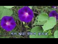 사랑이여 가사 유심초 