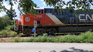 CN Auto Rack Train in Kinmundy, IL