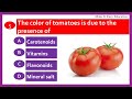 Video Tutorial Quiz