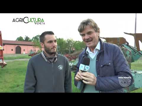 AGRICULTURA VENETA | 30/04/2022 13:03