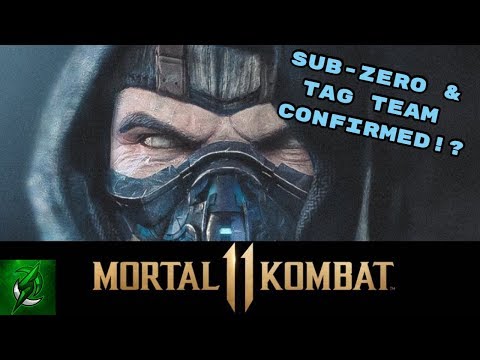 Sub Zero & Tag Team Mode Confirmed!? *LEAKED* MK11