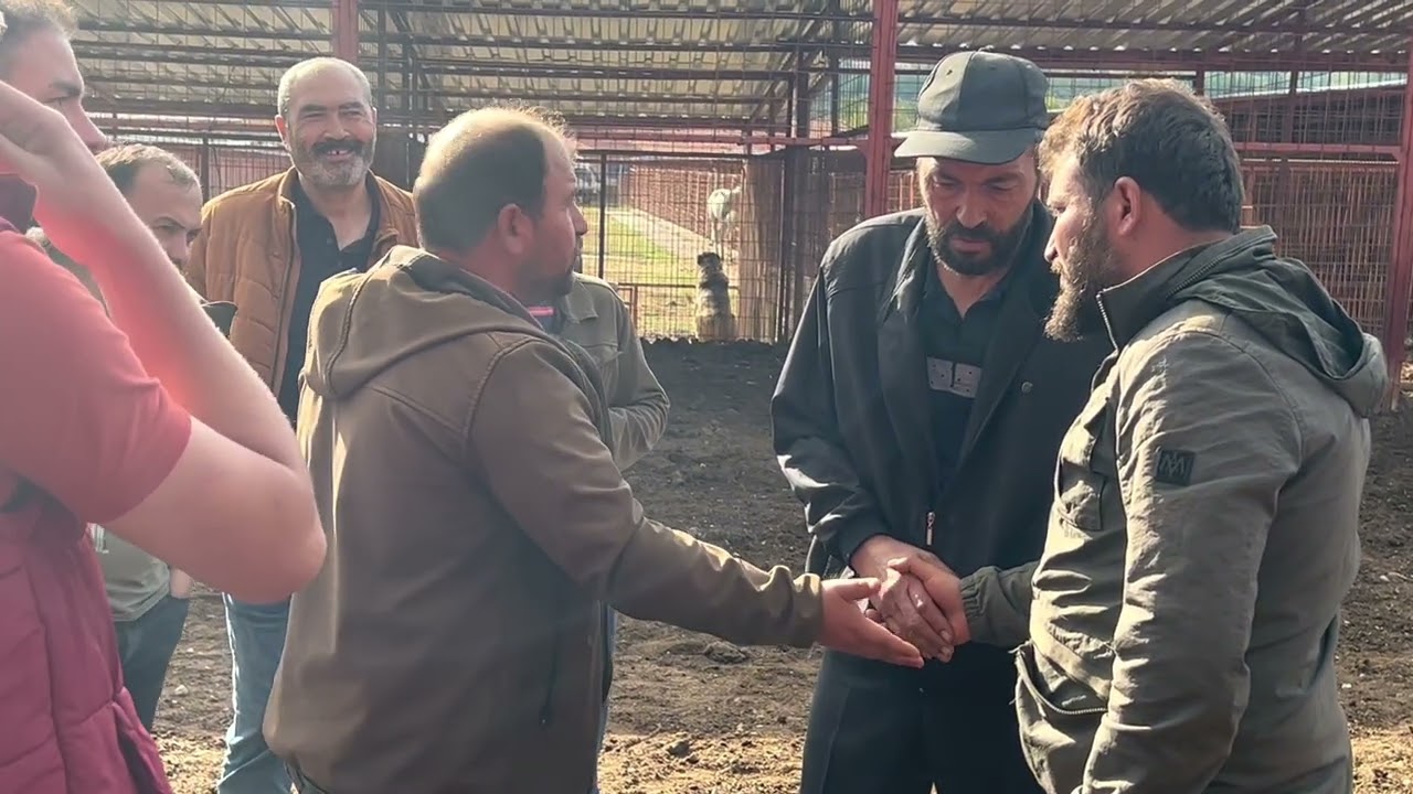 ERKEK DANALARI ANKARAYA VERDİK