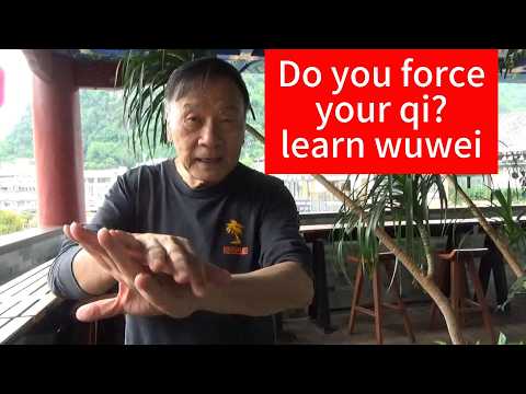 Wu Feet: Are They The Key To Unlocking Your Full Potential?