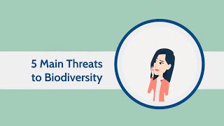 5 Main Threats to Biodiversity
