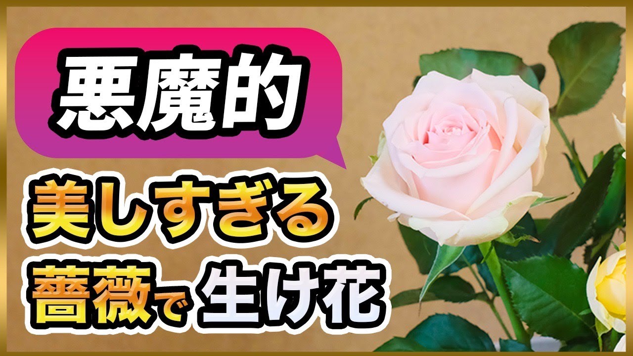 Devilishly] I tried ikebana with beautiful roses - YouTube