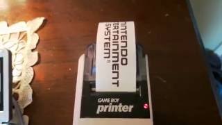 Game Boy Printer Demonstration