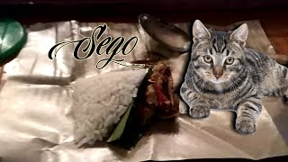 SEGO KUCING - Kuliner malam