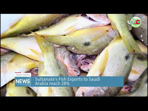 Sultanate's Fish Exports to Saudi Arabia reach 28%