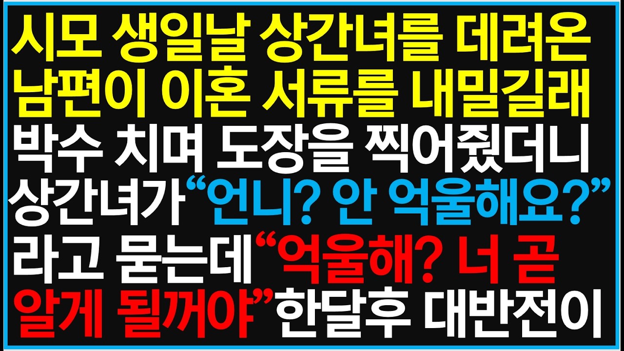 시모 생일날 상간녀를 데려온 남편이 이혼 서류를 내밀길래 박수치며 도장을 찍어줬더니 상간녀가 