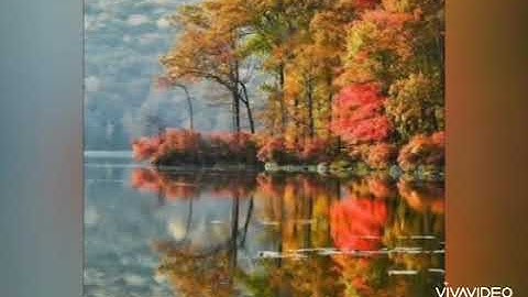 سورة الفاتحة بصوت القارئ اسلام صبحي ❤