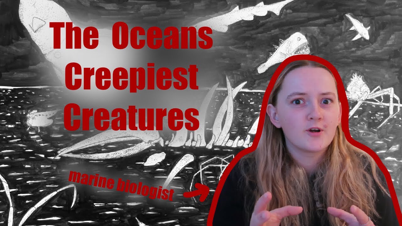The Seas Spookiest Sealife - told by a Marine Biologist!(Halloween Scientific Art Inktober Special)