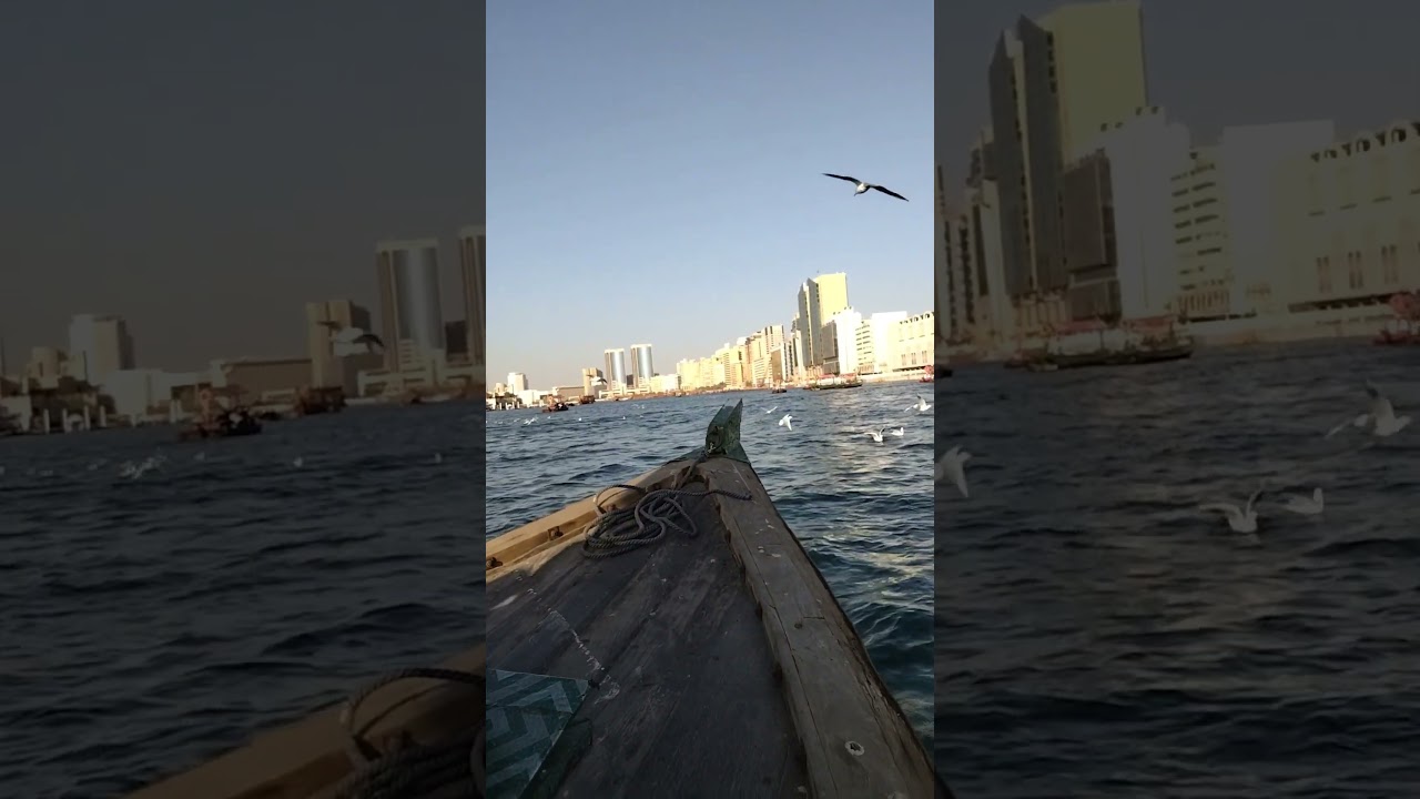 #dubai