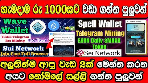 Spell Wallet Powered By Sui Blockchain | Wave Wallet Free Mining | Telegram New Bot Mining Airdrop