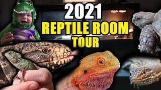 2021 Reptile Room Tour! Featuring Reptiles Worth More Than The Hair Transplant I DESPERATELY Need!