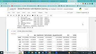 day 4 | Stroke disease prediction using machine learning | Stroke prediction using python |icodeguru