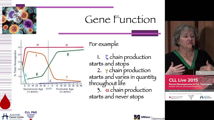 Dr Susan LeClair - Gene functions