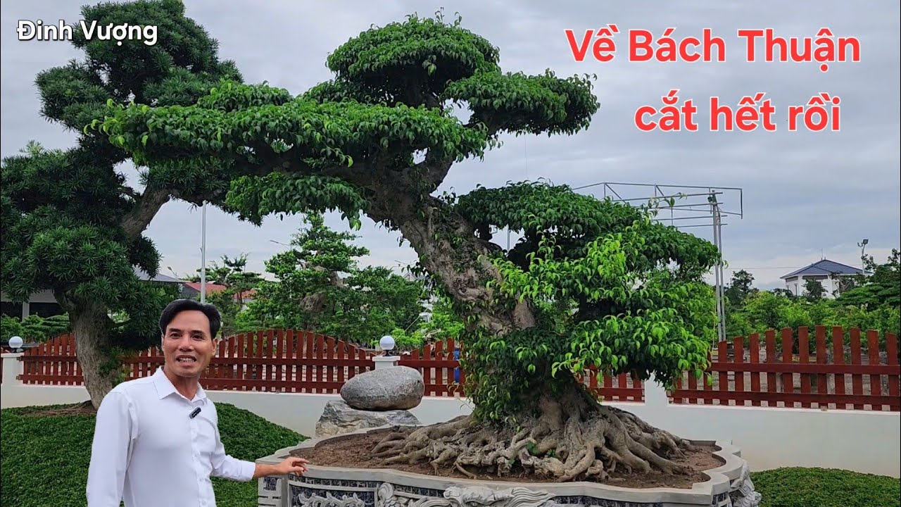 Gặp lại tác phẩm nổi tiếng của anh Chí ở Bách Thuận bây giờ ra sao