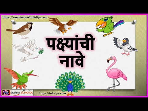 पक्ष्यांची नावे | Learn birds name in Marathi by Smart School | Birds name in Marathi and English