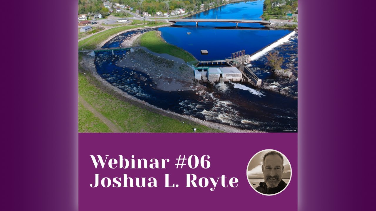 MERLIN webinar #06: Freeing rivers