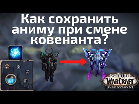 Видео: World Of Warcraft снизит плату в размере 13 за смену пола в Shadowlands