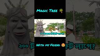 Magic Tree ? with my Friend ? || Shorts Video || Funny Shorts || YouTube Shorts ||