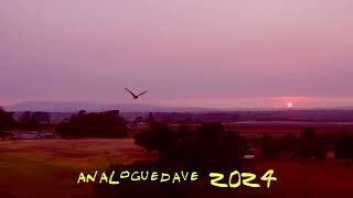 Omg Filming An Amazing Bird Of Prey